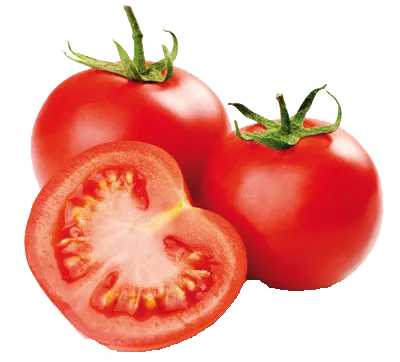 Tomate Longa Vida
